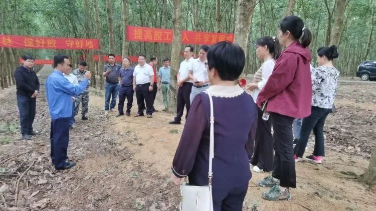 全国割胶冠军张健给各单位学员做标准化胶园建设及割胶技术的经验介绍。.jpg