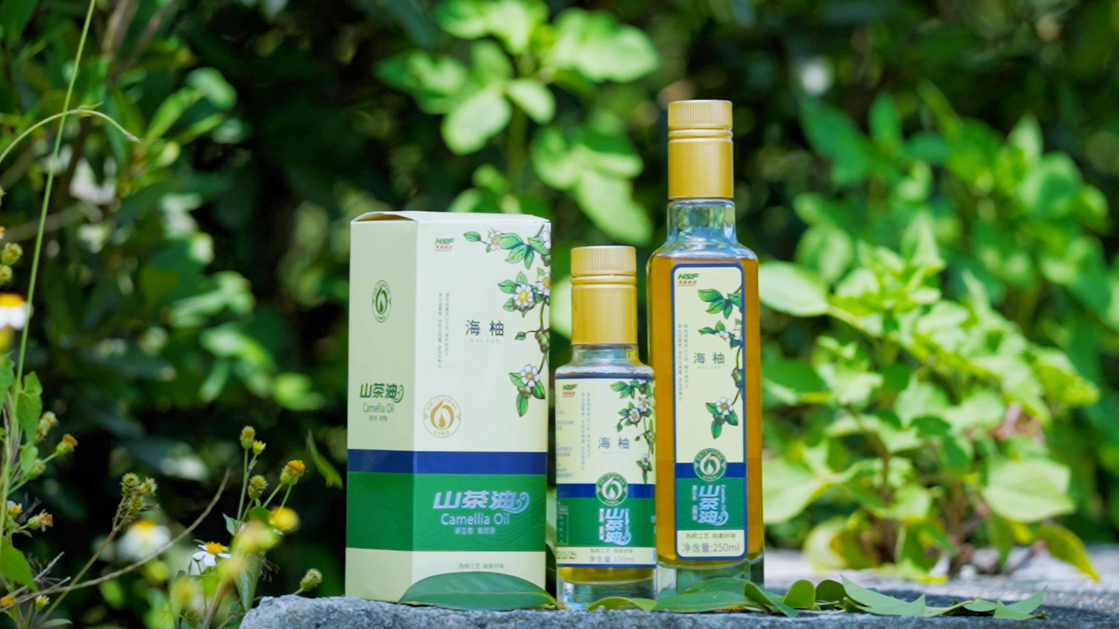 Z6人生就是博乐香山茶油
