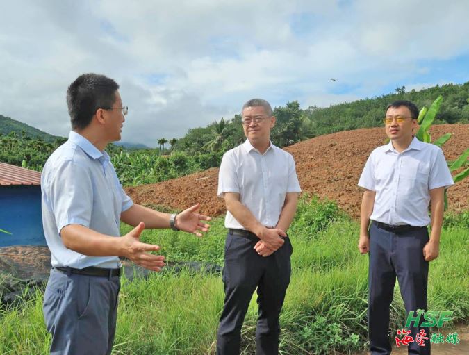 艾轶伦在立才农场公司垦区耕地“非粮化”“非农化”专项整改复耕地块调研。